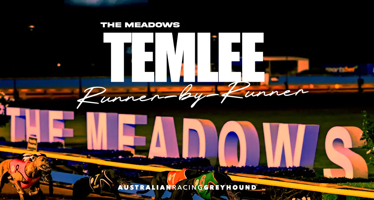 Temlee greyhound racing tips & preview