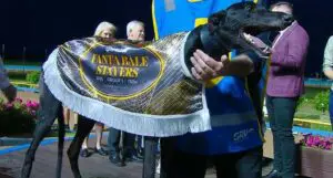 Unreal Speed wins the Fanta Bale Stayers