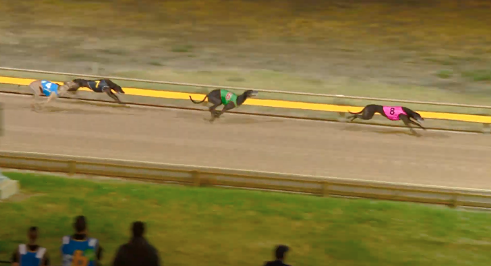 Zipping Kai Horsham Cup heat 3