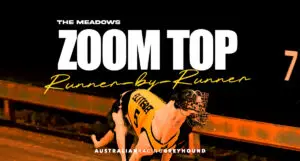 Zoom Top greyhound racing preview and tips