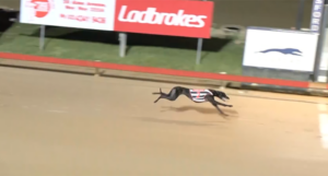 Depeche record win at Gosford