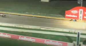 Flash Jet breaks his own 320-metre track record at Richmond.