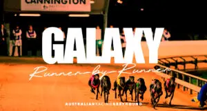 Galaxy greyhound tips