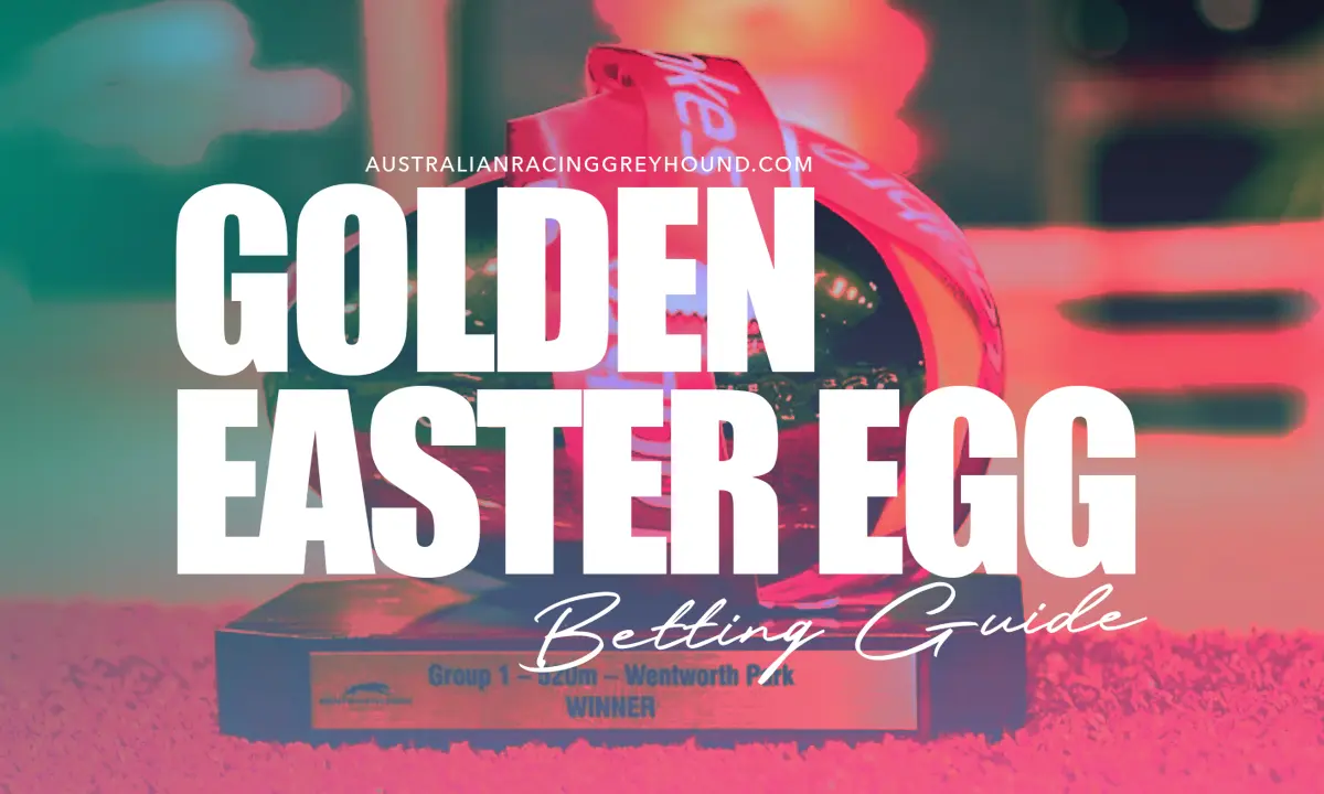 Golden Easter Egg Golden Easter Egg greyhound racing