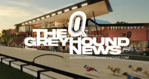 The Q news