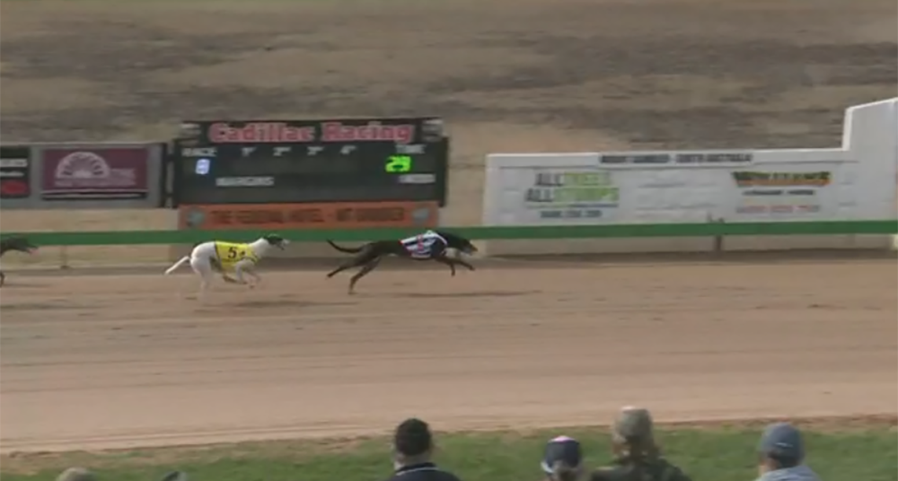 Aston Gozo Mount Gambier Cup