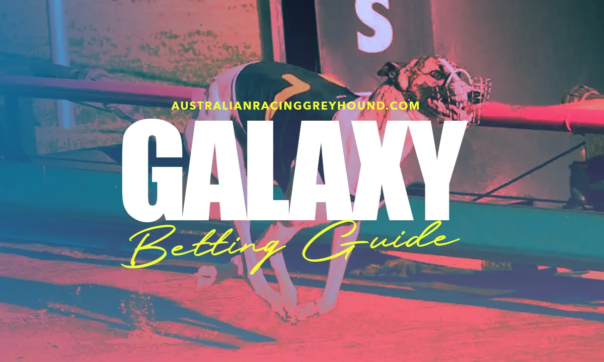Galaxy Greyhound Betting