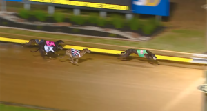 Matt Loch wins Geelong Cup