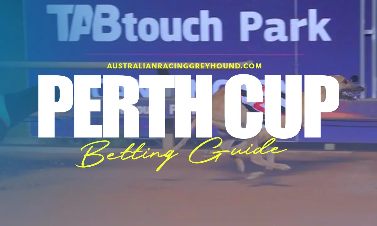 Perth Cup Greyhounds Betting