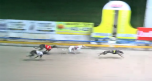 Simulate wins The Golden Chase Final