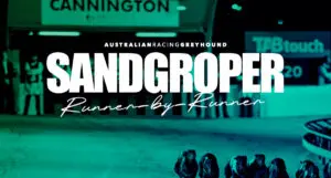 The Sandgroper greyhound tips