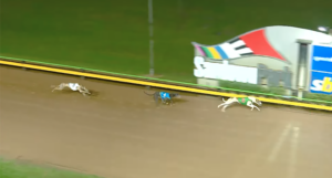Wyong Dallas Launching Pad heats