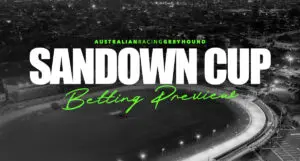 Sandown Cup greyhound preview
