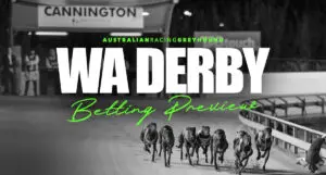 WA Derby greyhound preview