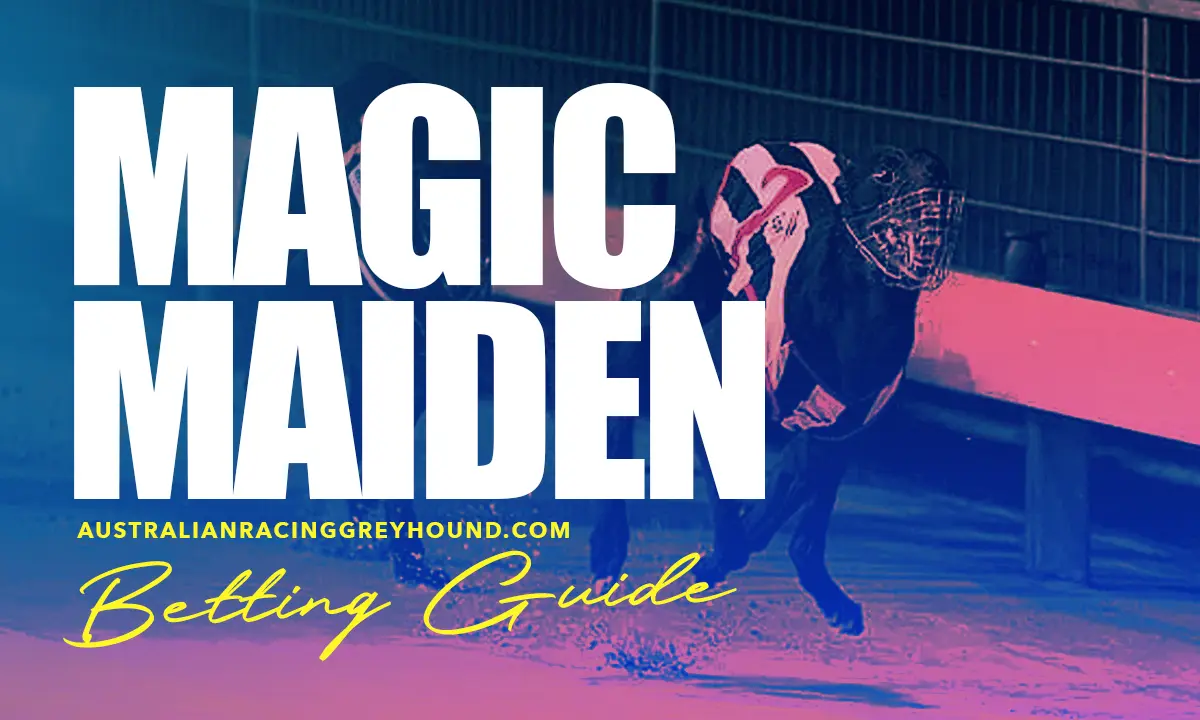 Magic Maiden Betting