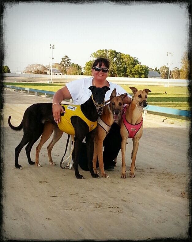 Greyhound trainers prepared to new reforms