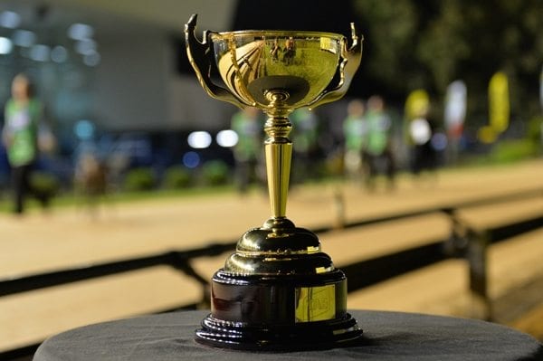 Greyhound racing melbourne cup
