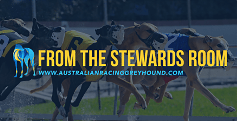 Stewards wrap