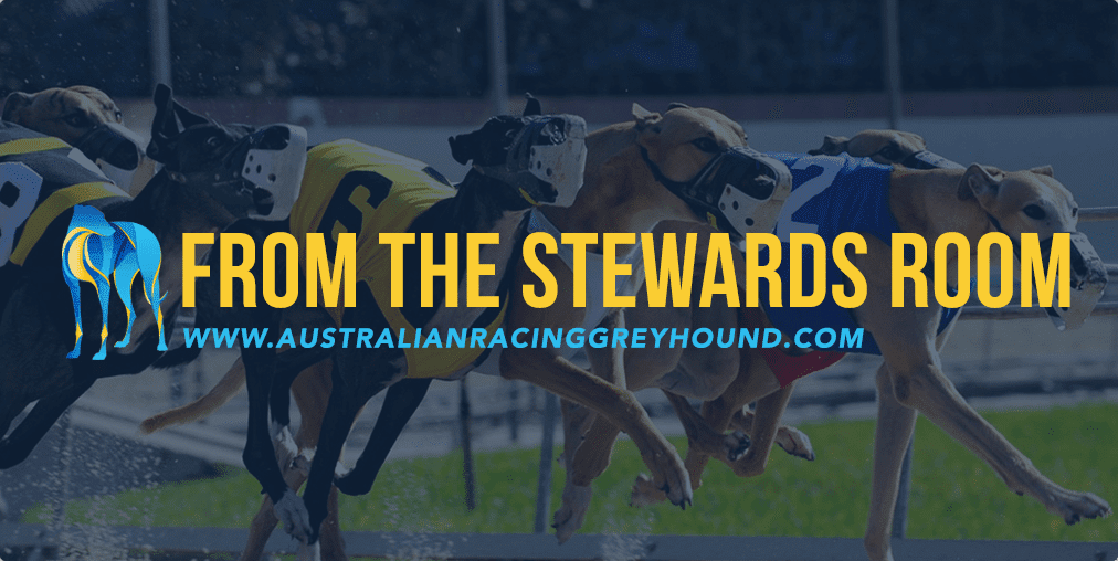 Atenolol Greyhound Australian Greyhound Racing News & Betting