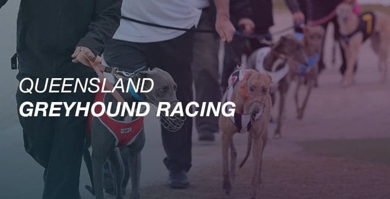 qric  Australian Greyhound Racing News & Betting