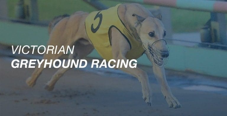 Victorian greyhound racing