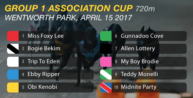 Association Cup