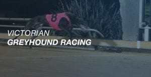Victorian greyhound racing