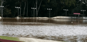 Lismore greyhounds may not resume for another month