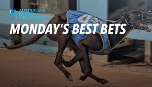 Best bets for Monday