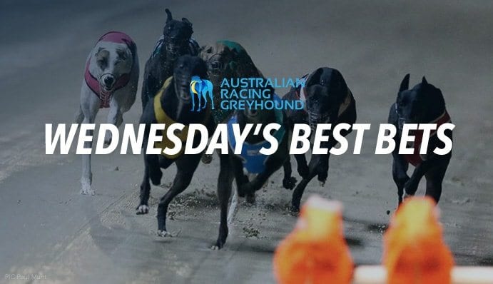Wednesday free greyhound racing tips