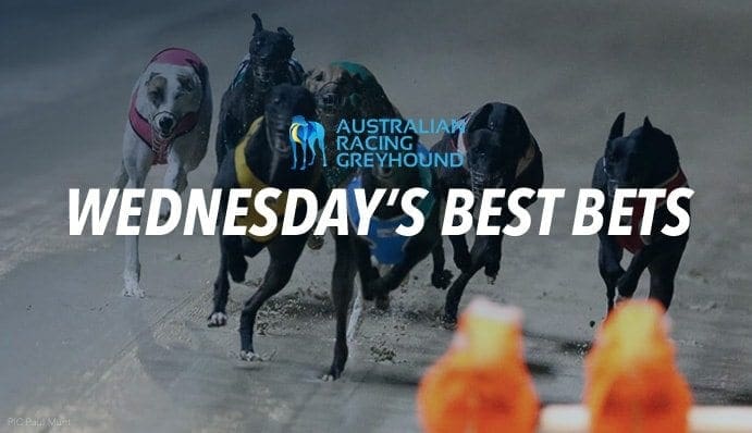 qric  Australian Greyhound Racing News & Betting