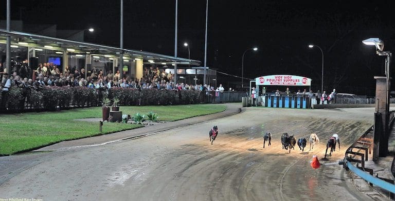 Gosford shut down due to rocks coming through racing surface