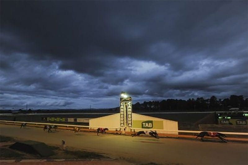 Greyhound racing in Canberra