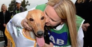 Back to culture: why greyhound racing was attacked