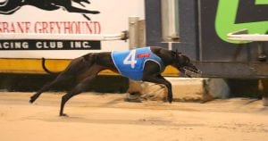 Cyndie out to work her magic in Group 3 Queensland Cup