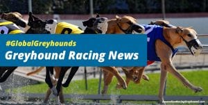 'Rescue' group turns down potential adopter for supporting racing