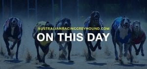 From the archives: This day 2nd December in greyhound racing news