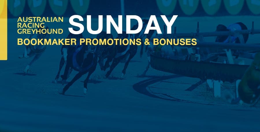 Free greyhound promos