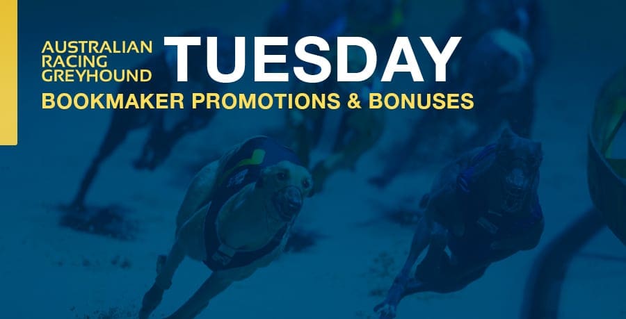 Tuesday greyhound racing bonuses