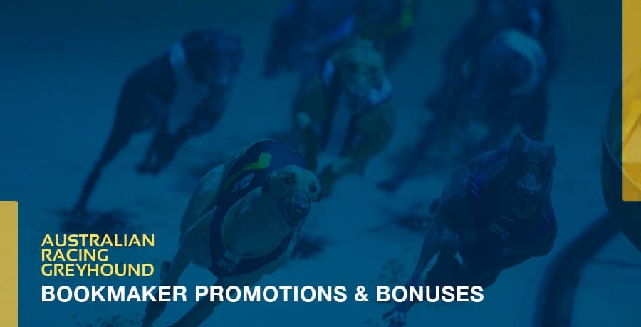 Greyhound Betting Promos