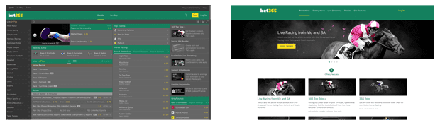 greyhound betting 365