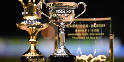 2020 Sandown Cup