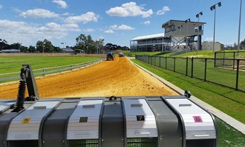 Cannington Greyhound Track