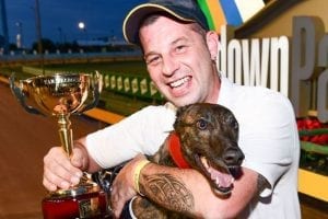 Not just the race of the year but greyhound of the year