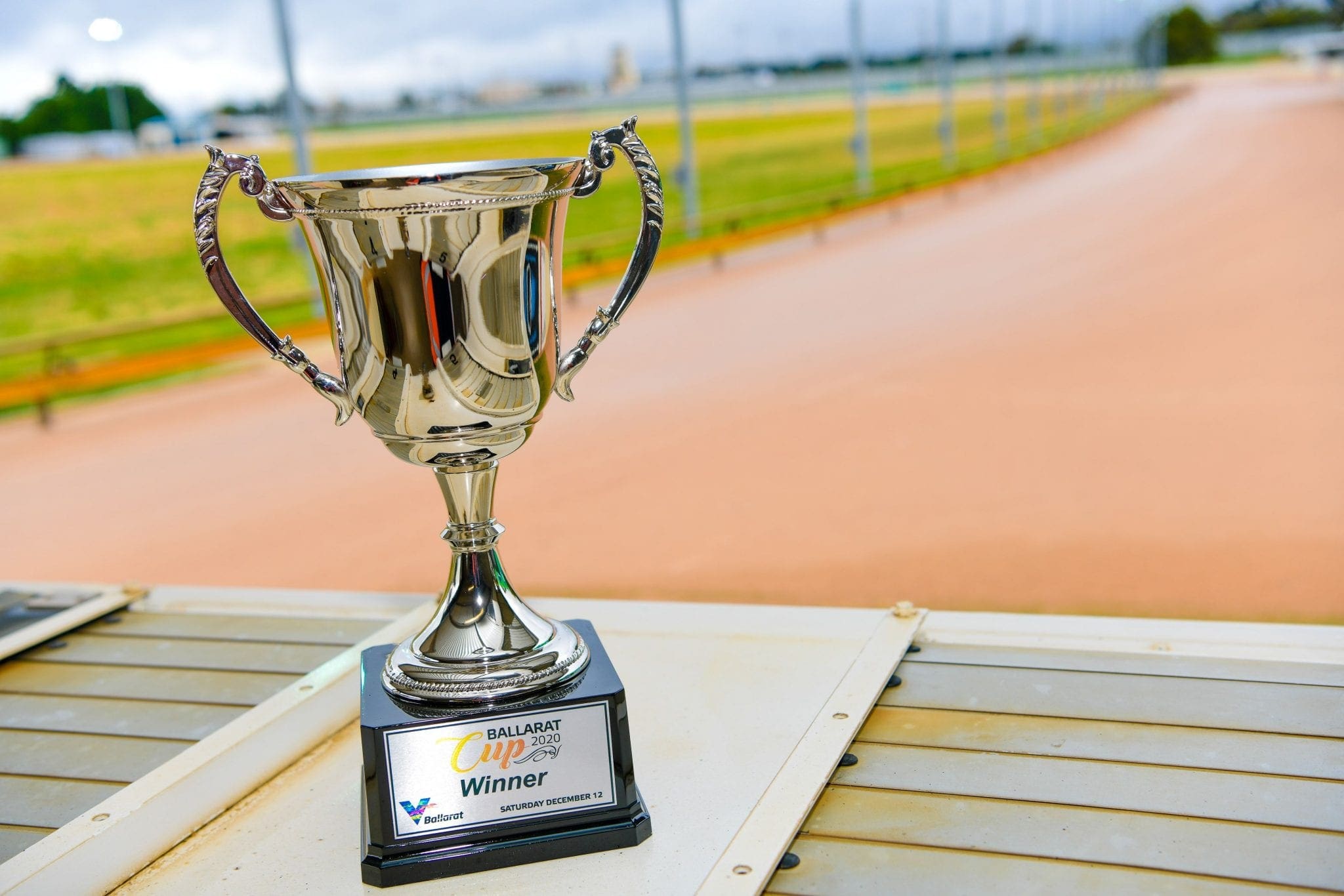 Ballarat Cup greyhounds