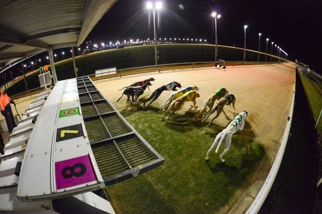 Victorian Lure Coursing & Racing Clubs