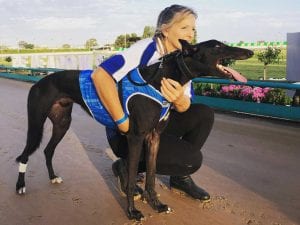 Everyone Likes Distance Greyhound Racing - Even GRNSW Does Now