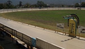 Dapto greyhound racing form guide Thursday September 15 2022
