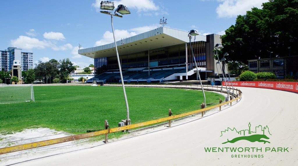 Wentworth Park tips