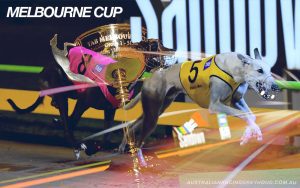 Melbourne Cup runner by runner guide 2021
